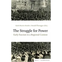 The Struggle for Power, Fachbücher von Karlo Ruzicic-Kessler, Oswald Überegger