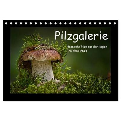 Pilzgalerie - Heimische Pilze aus der Region Rheinland-Pfalz (Tischkalender 2027 DIN A5 quer), CALVENDO Monatskalender