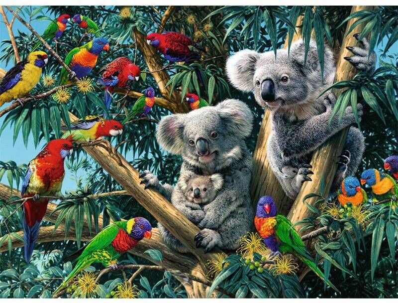 Ravensburger Puzzle 500 pcs : Koalas dans l'arbre