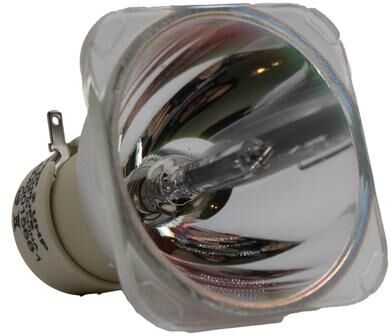 Philips UHP™ 260W 1.0 E20.6 Amo AC Lamp (Bulb Only) for Projectors - 240 Day Warranty