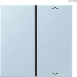 Jung LC401TSAP208 Taste 1-fach Pfeil LC32022