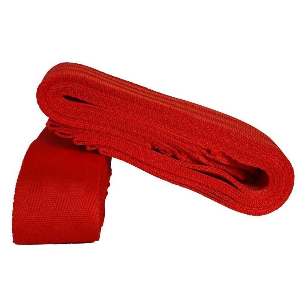 Tanga Sports 10er-Set Mannschaftsband (10x 60183-red)