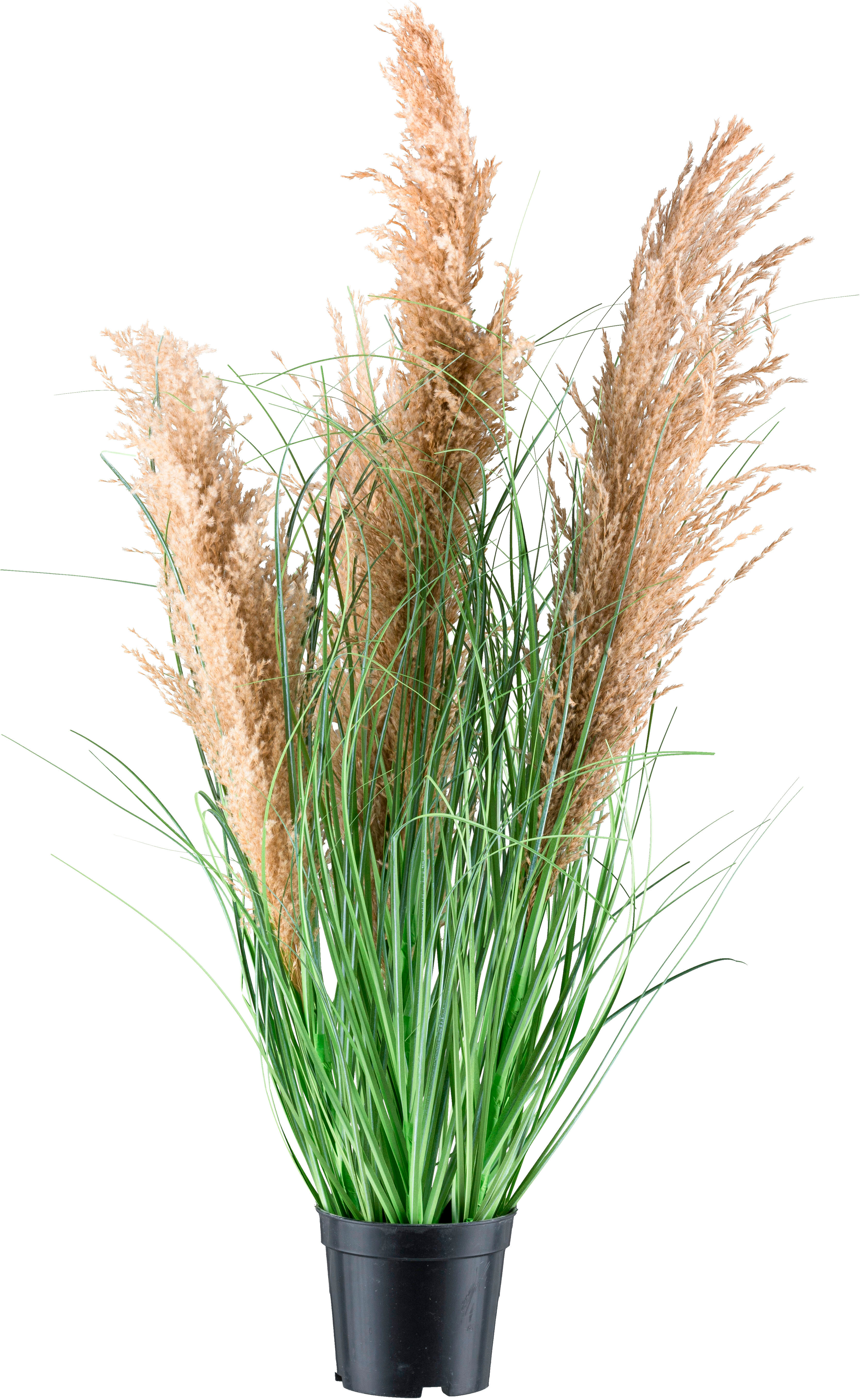Kunstgras CREATIV GREEN "Schilfgras", grün, H:75cm, Kunststoff, Kunstpflanzen, mit täuschend echten Blüten