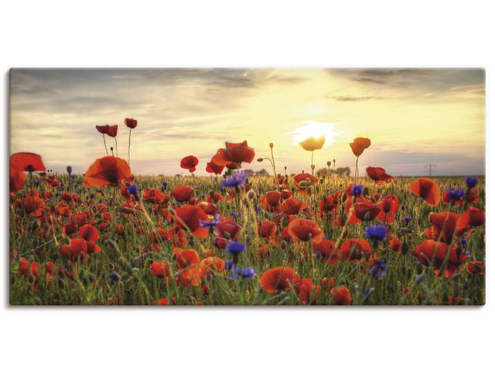 Wandbild ARTLAND Mohnblumen , rot (farbe bild(er): rot), B:100cm H:50cm, Bilder, Wandbild, als Alubild, Leinwandbild, Poster in verschied. Grössen