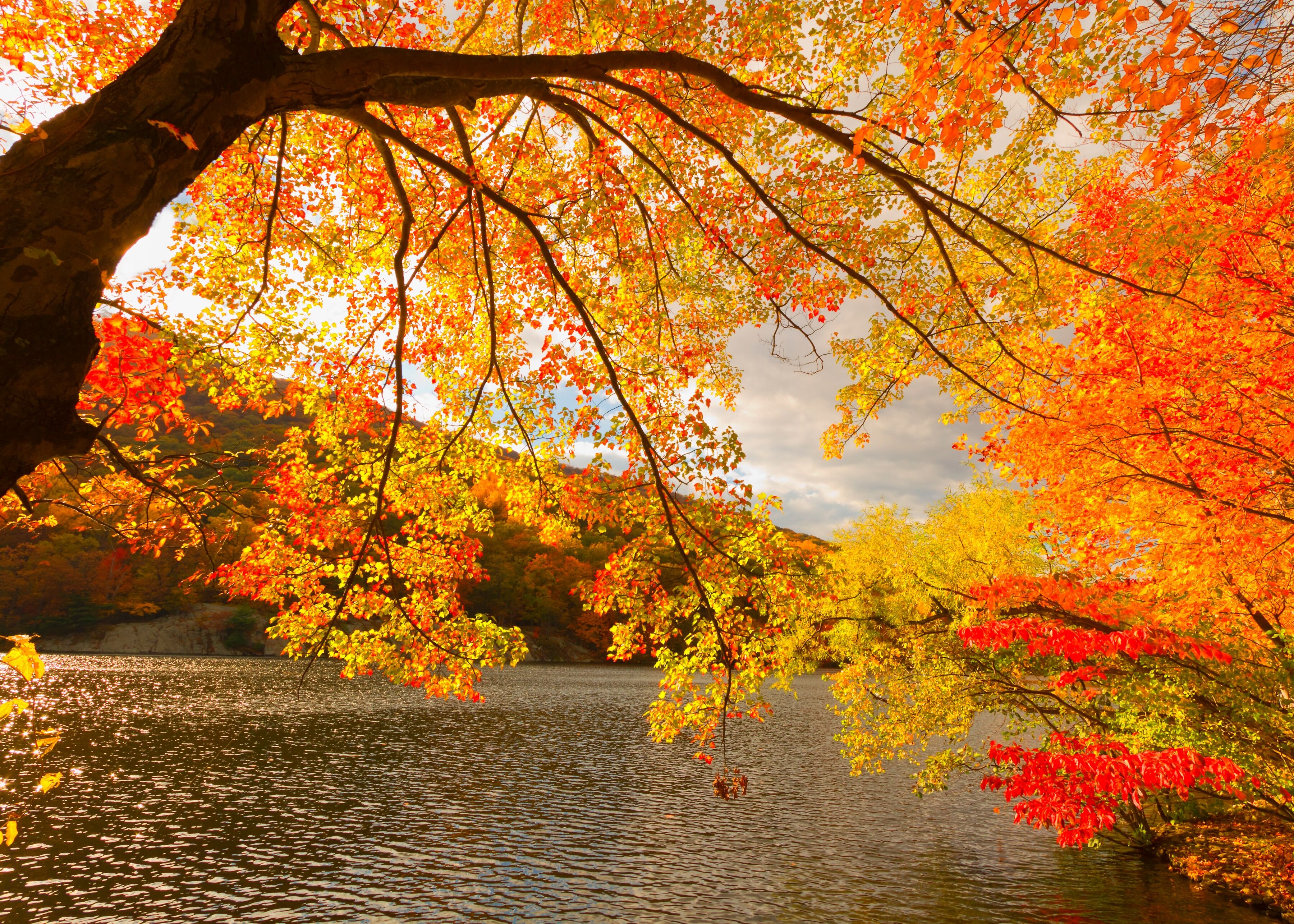 Fototapete PAPERMOON "Autumn Scenery", bunt, B:4m L:2,6m, Vlies, Tapeten, Fototapete bunt B/L: 4m x 2,6m, Bahnen: 8 Stk.