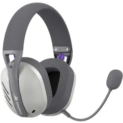 Havit Fuxi-H3 (gray) (Kabelgebunden, Kabellos), Gaming Headset, Silber, Grau