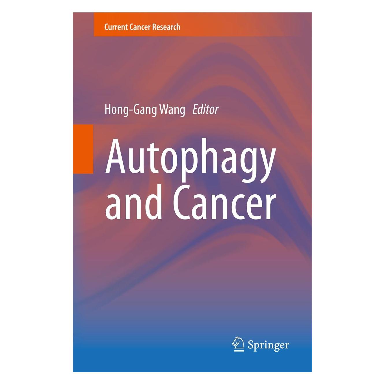 Springer Autophagy and Cancer (Englisch, Hardcover, Hong-Gang Wang) (9781461465607)