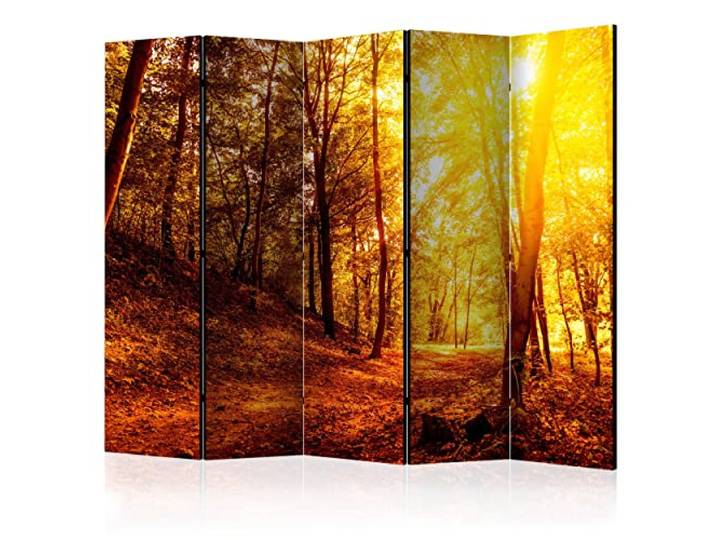 decomonkey Paravent Raumteiler Innen Wald, 225x172 cm, 5-teilig, Beidseitig Baum, Natur, Herbst, Wohnzimmer, Room Divider, Wall, Raumteiler Stehend, Trennwand, Sichtschutz, Spanische Wand, Holz