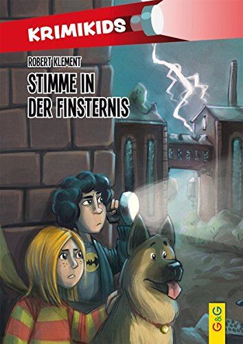 Robert Klement - KrimiKids - Stimme in der Finsternis (KrimiKids / Lesemotivation mit einem jungen österreichischen AutorInnenteam) - Preis vom 07.10.2026 11:45:10 h