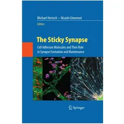 The Sticky Synapse, Fachbücher