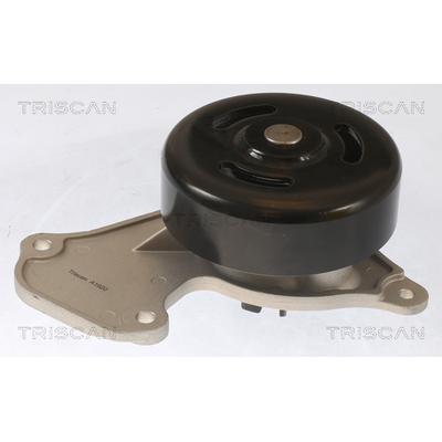 TRISCAN Wasserpumpe 8600 25095 für RENAULT