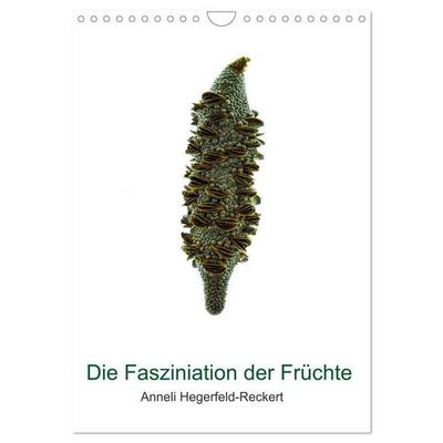Die Faszination der Früchte (Wandkalender 2027 DIN A4 hoch), CALVENDO Monatskalender