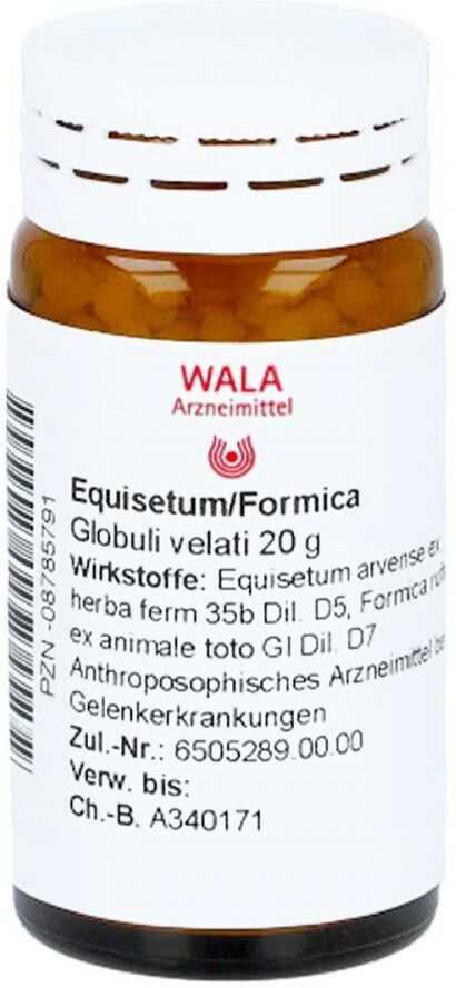 Wala Equisetum/formica Globuli