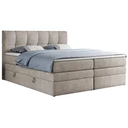 BOXSPRINGBETT ALVIN KING 160/200 Beige Struktur - H4