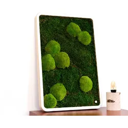 Green Oasis White - Moos-Mix / S (20 x 30 cm)