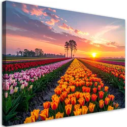 LEINWANDBILD Tulpen Blumen Wiese Aussicht 60x40cm