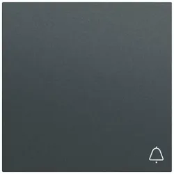 Gira Wippe Schalter anthrazit lackiert Klingel 328673