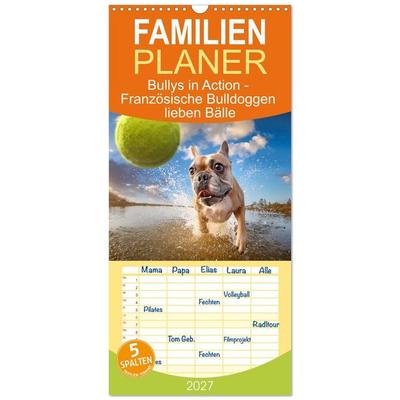 Familienplaner 2027 - Bullys in Action - Französische Bulldoggen lieben Bälle mit 5 Spalten (Wandkalender, 21 x 45 cm) CALVENDO