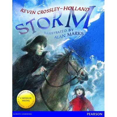 Wordsmith Year 3 Storm, Taschenbuch von , Pearson ELT, 978-0-435-15998-6