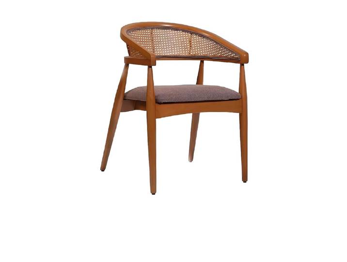 Xlmoebel Esszimmerstuhl Brauner Designer-Stuhl mit Holzgestell und Armlehnen, Hergestellt in Europa