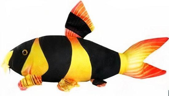 CeramicNature Clown Loach Knuffel