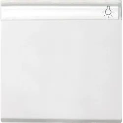 Gira Wippe Wechselsch. rws-gl 029903