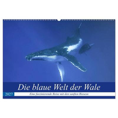 Die blaue Welt der Wale (Wandkalender 2027 DIN A2 quer), CALVENDO Monatskalender