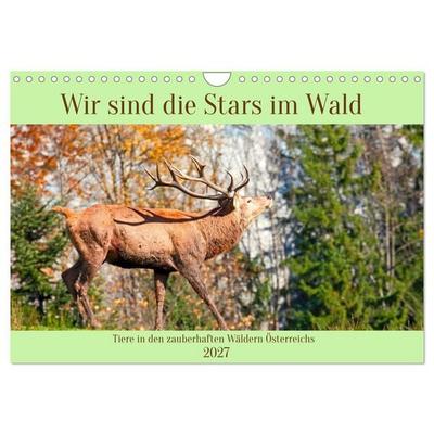 Wir sind die Stars im Wald (Wandkalender 2027 DIN A4 quer), CALVENDO Monatskalender