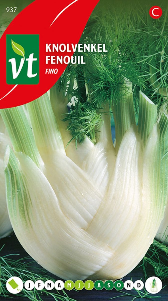 Knolvenkel Fino Zaden