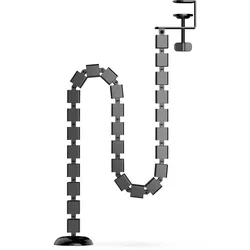 Spine 