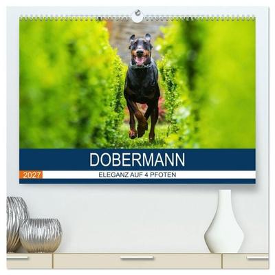Dobermann 2027 (hochwertiger Premium Wandkalender 2027 DIN A2 quer), Kunstdruck in Hochglanz