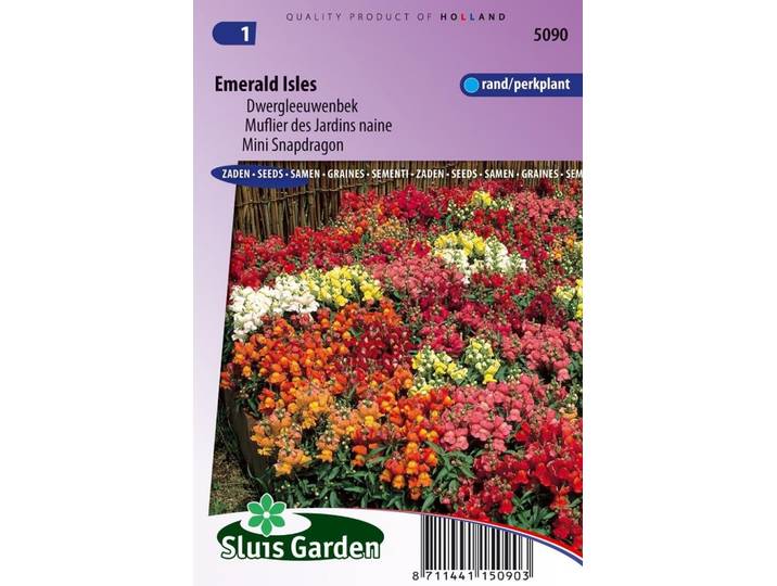 Antirrhinum Majus Pumilum zaden Leeuwenbek