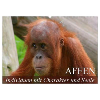Affen - Individuen mit Charakter und Seele (Wandkalender 2026 DIN A2 quer), CALVENDO Monatskalender