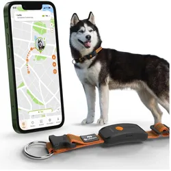 Weenect GPS-Tracker (XL, Hund, Allgemein), Halsband + Leine