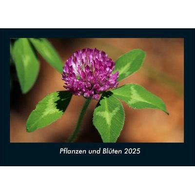Pflanzen und Blüten 2025 Fotokalender DIN A4