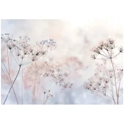 FOTOTAPETE Blumen Pusteblumen Beige 200x140 cm
