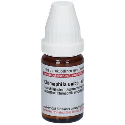 Chimaphila Umbellata D 6 Globuli 10 g
