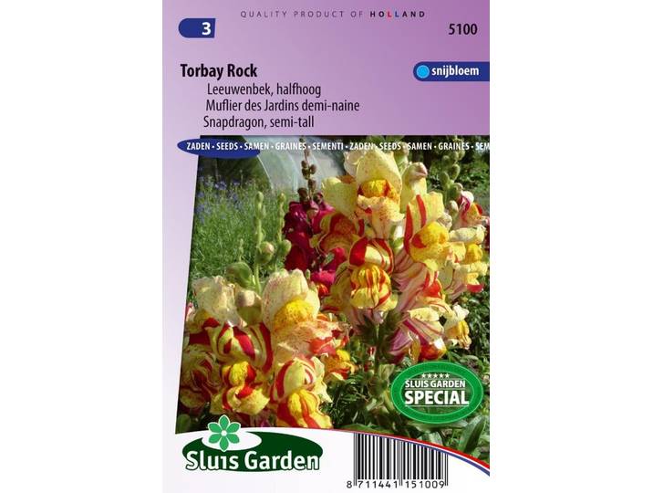 Antirrhinum Majus zaden Torbay Rock leeuwebek