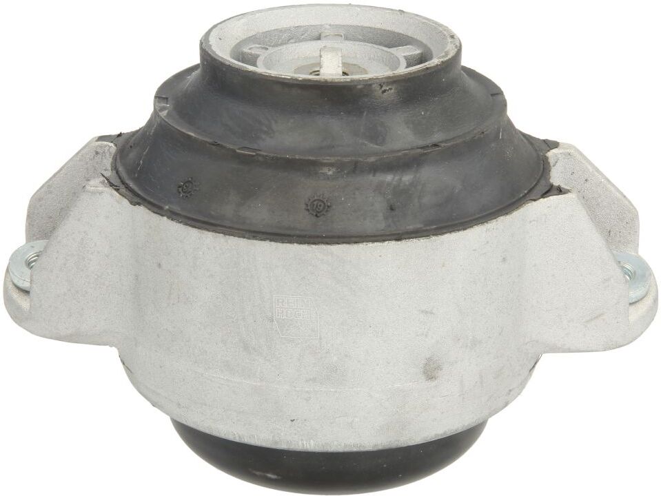 Reinhoch Supporto motore RH11-3056 sinistro