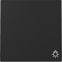 Wippe mit Symbol Licht schwarz, Retail