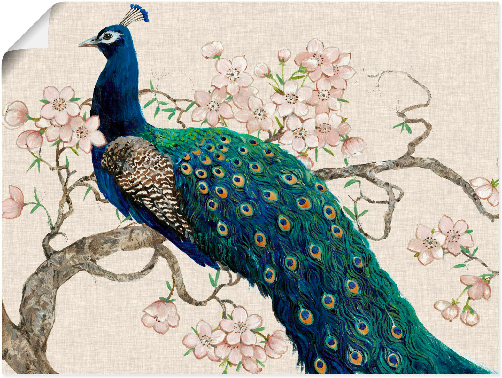 Artland "Pfau & Blüten II" Vögel 1 Stk. tlg. als Leinwandbild, Poster in verschied. Grössen farbe bild(er): naturfarben B/H/T: 60cm x 45cm, Poster Vögel Querformat, 1 Stk.