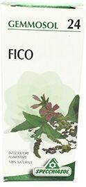 SPECCHIASOL Srl FICUS 24 Gemmosol 50ml