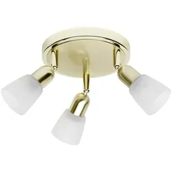 SPOTRONDELL Sofia 55334/18