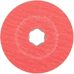 Pferd, Schleifmittel, CC-FS 100 CO-COOL 50 (50)