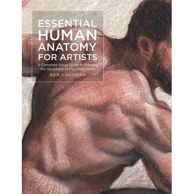 Essential Human Anatomy for Artists, Taschenbuch von Ken Goldman, Quarto Publishing Group, 978-1-63159-959-0