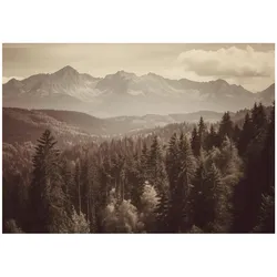 FOTOTAPETE Wald Natur Braun 400x280 cm