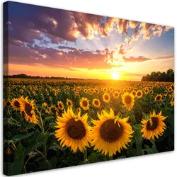 LEINWANDBILD Sonnenblumenfeld Sonnenuntergang 100x70cm