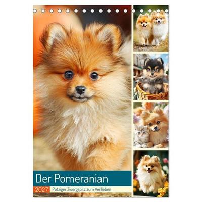 Der Pomeranian. Putziger Zwergspitz zum Verlieben (Tischkalender 2027 DIN A5 hoch), CALVENDO Monatskalender