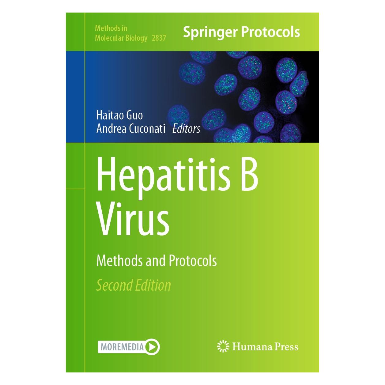 Springer Hepatitis B Virus (9781071640265)