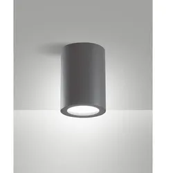 Fabas Luce Außendeckenleuchte MANU, E27, IK05, IP54, dunkelgrau FAB-6565-61-294